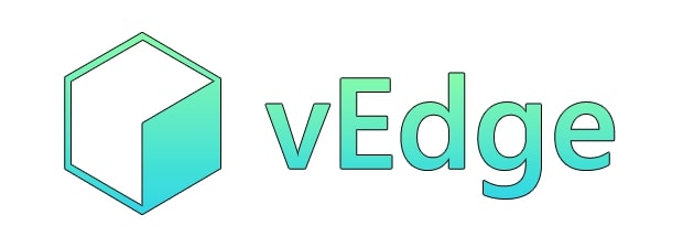 vEdge