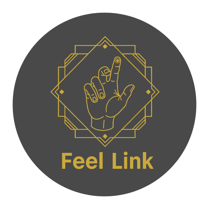 Feel Link